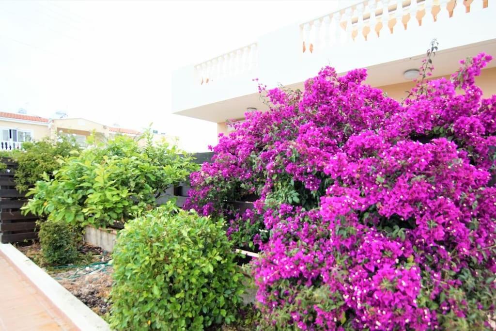 Central Pool-Side 2 Bedroom Apartment In Paphos Bagian luar foto